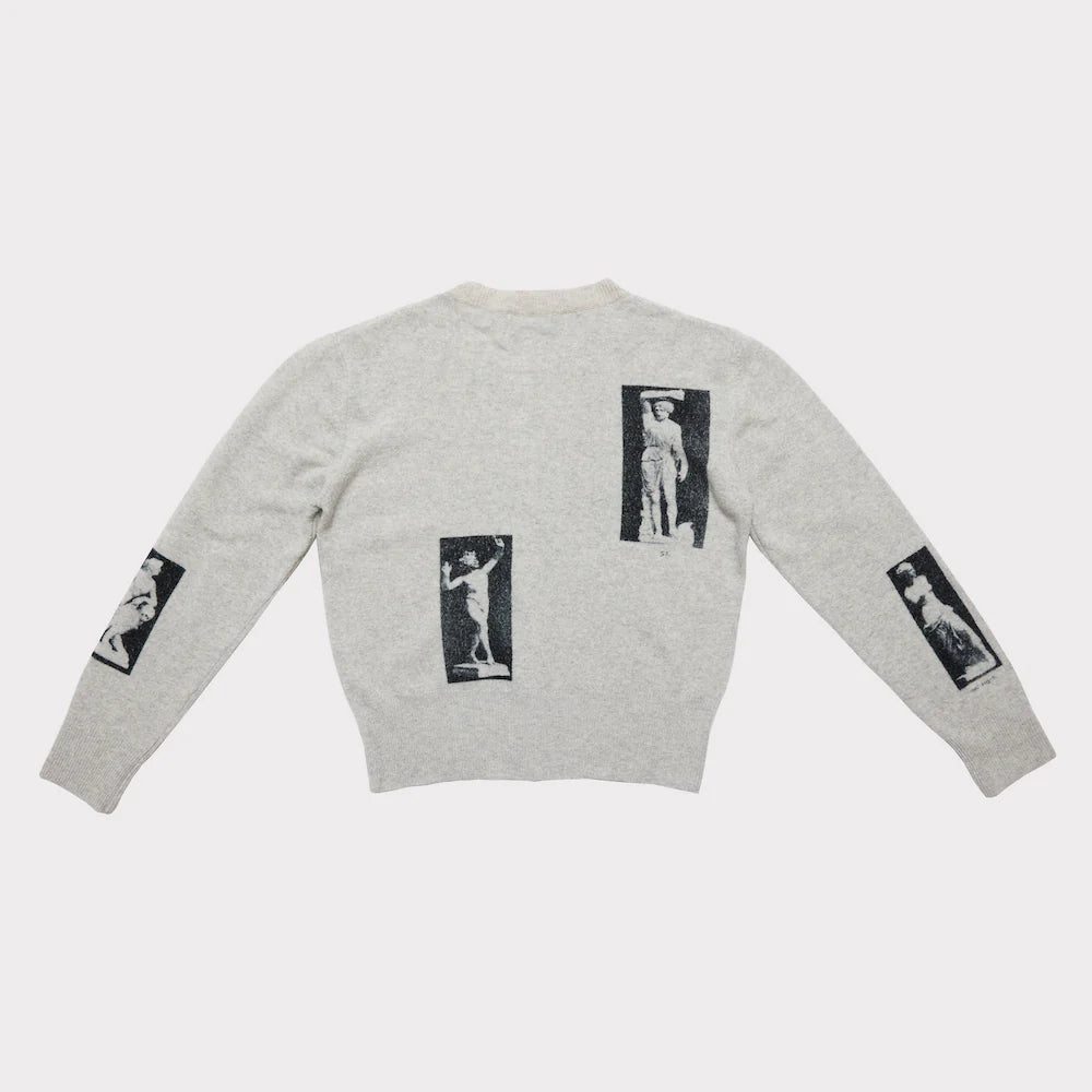 HADES Narcissus Cardigan Slate and Black printed with Greek mythology statues Narcissus Ariadne Venus de Milo as worn by Paul Mescal Gladiator